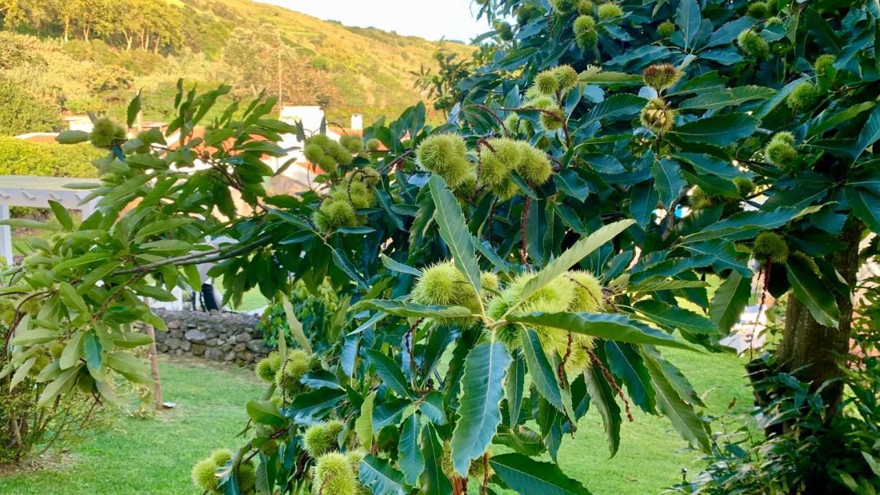 Casa Do Milhafre - Villaverde Azores Feteiras 外观 照片