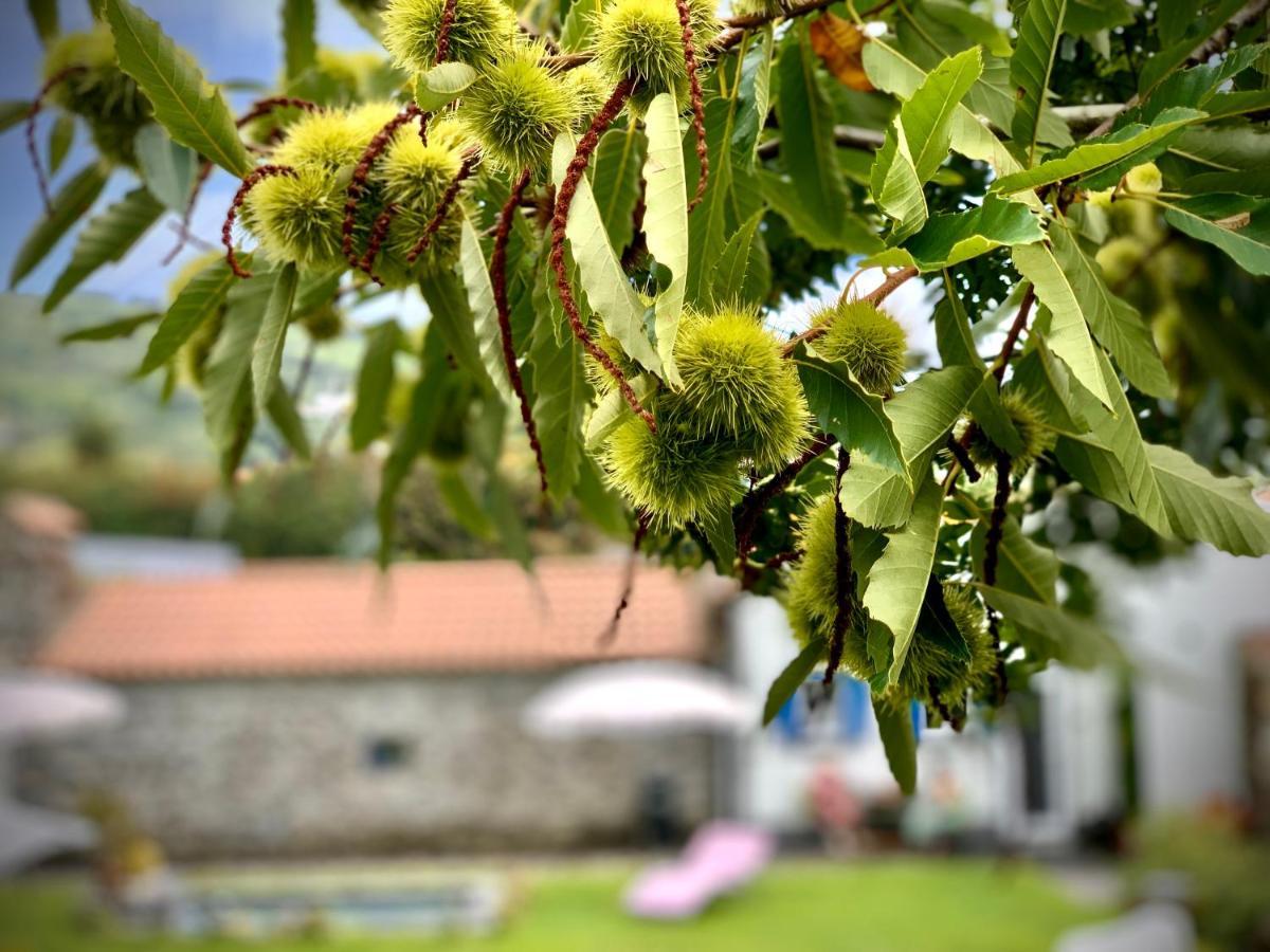 Casa Do Milhafre - Villaverde Azores Feteiras 外观 照片